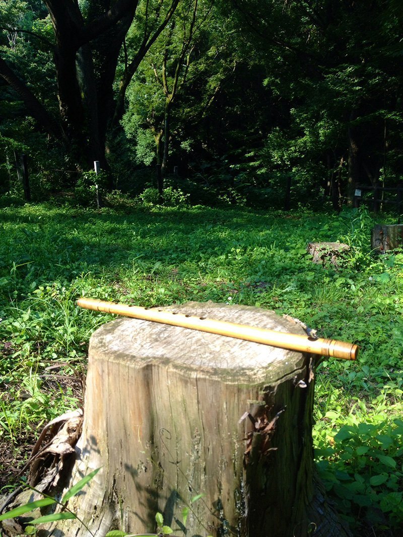 占い師あいみのお気に入り写真2